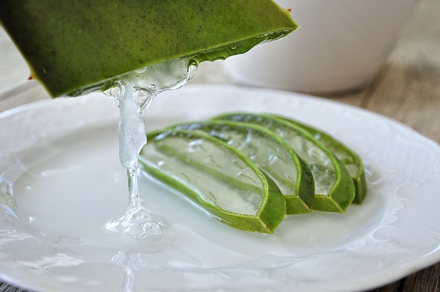 Aloe Vera Foliar Spray - An Effective Way to Combat Heat Stress in Plants