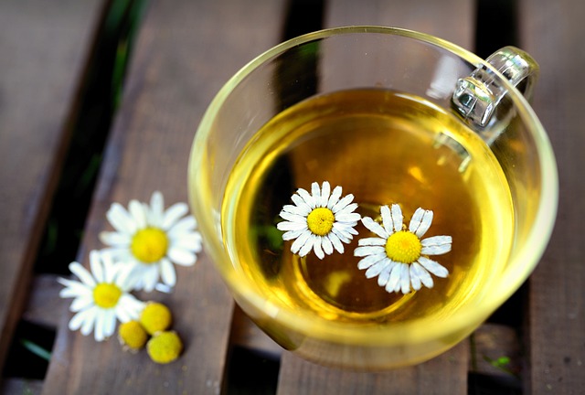 Chamomile Tea - The Secret to Preventing Damping Off in Seedlings