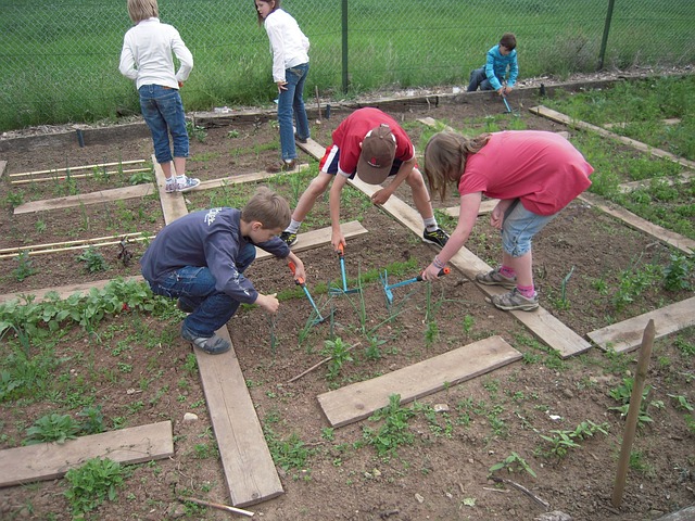 How School Community Gardening Nurtures Young Minds
